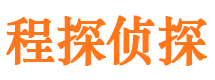 方城市侦探公司